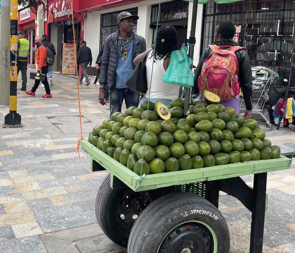 Авокадо в Колумбии
