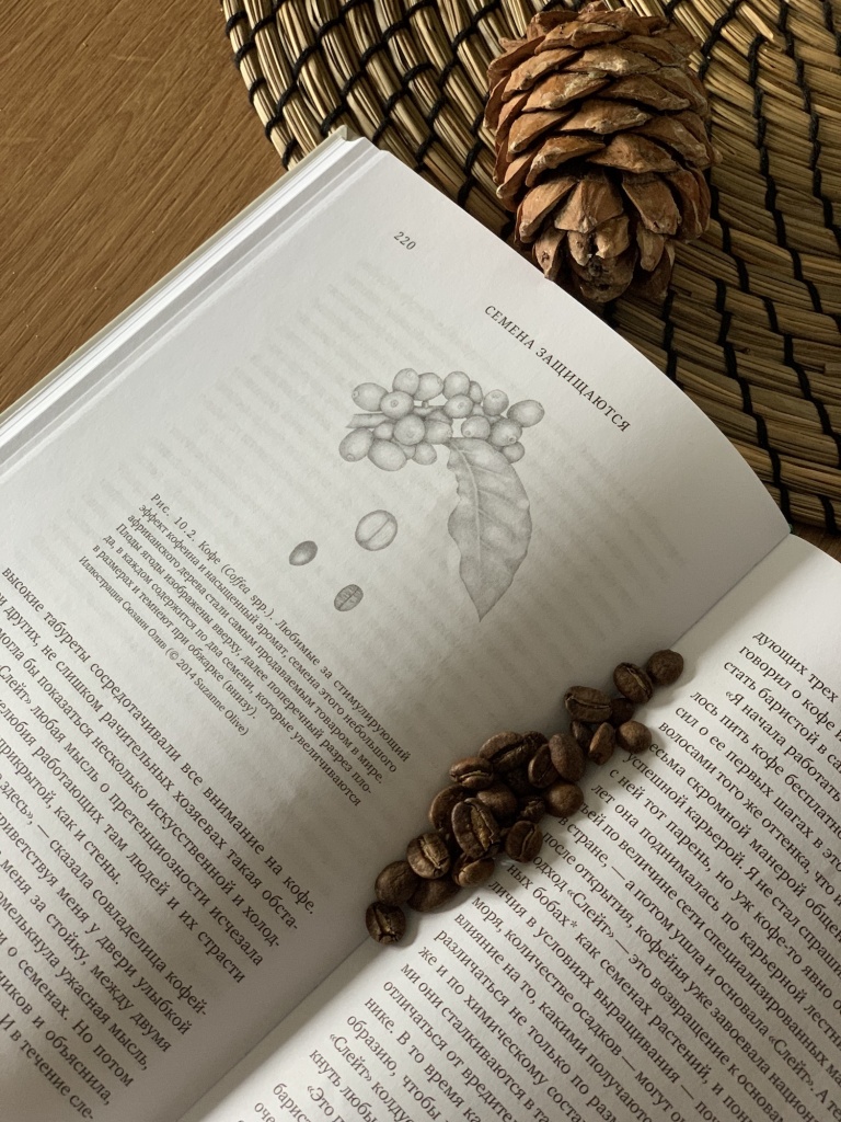 Семена защищаются, про кофеин в кофе