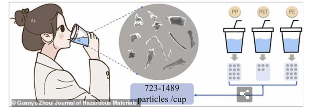 микропластик в кофейном стакане